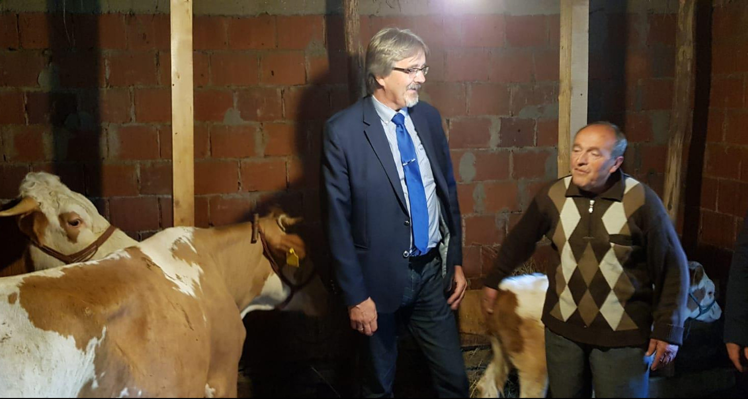 (FOTO) STIGLA POMOĆ MARKOVIĆIMA! Kancelarija za KIM kupila krave srpskoj porodici u Zebincima!